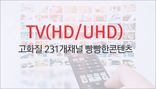 KT스카이라이프 TV(HD/UHD) 고화질 231개채널 가입문의